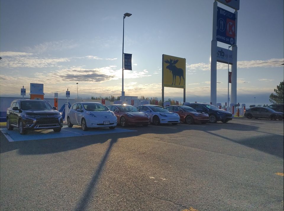 A lineup of EVs at a veNBev event