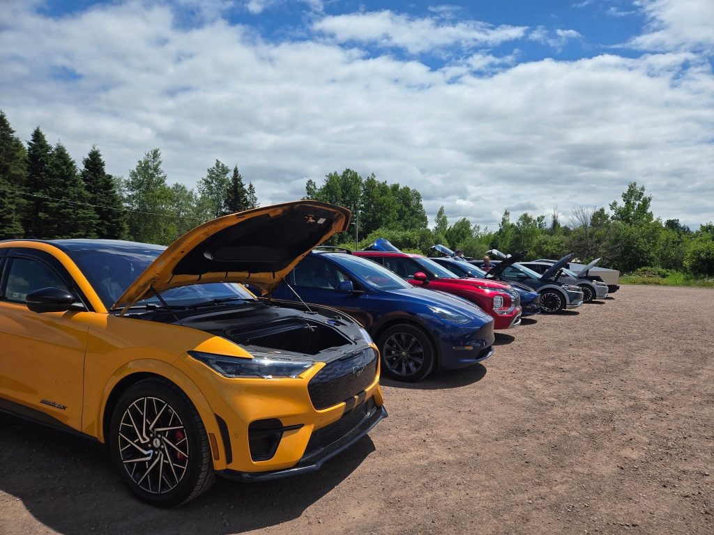 A selection of EVs at a veNBev event